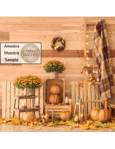 Decoration with pumpkins (backdrop)