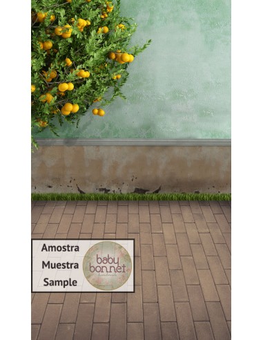 Wall with orange tree (backdrop - wall and floor)