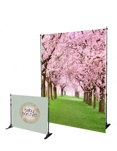 Height and width adjustable backdrop support