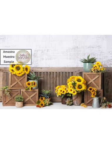 Sunflowers (backdrop)