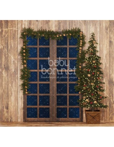 Window with spruce and oranges (backdrop)