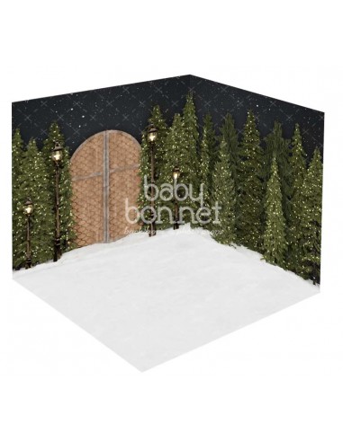 Portão para a floresta (fundo fotográfico 3D)