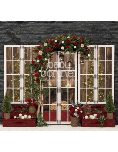 Frontage with Christmas flowers (backdrop)