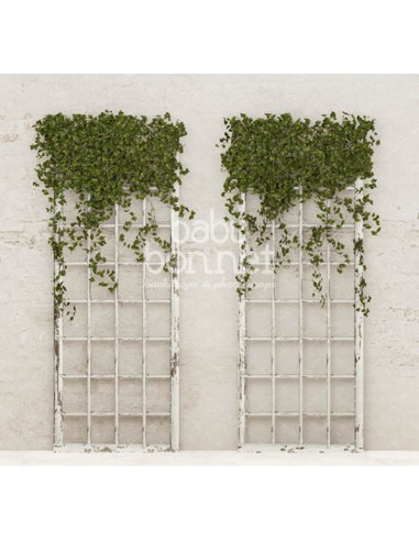 Ivy frames (backdrop)