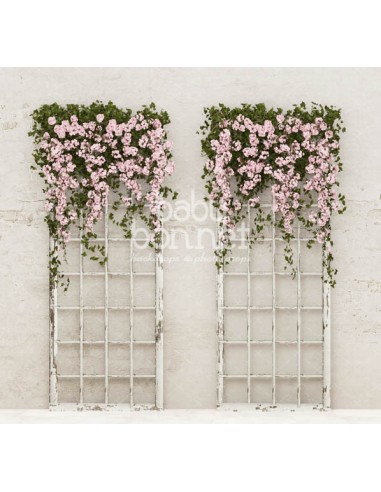 Flores rosa pendentes (fundo fotográfico)