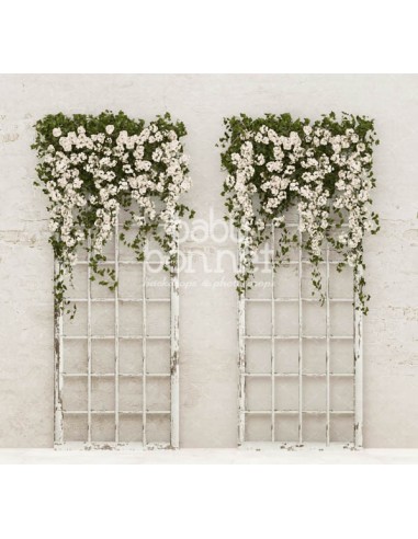 Flores brancas pendentes (fundo fotográfico)