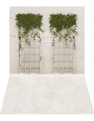 Ivy frames (backdrop - wall and floor)