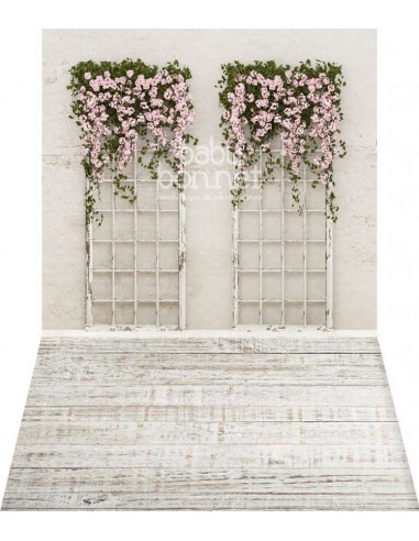 Fleurs roses pendantes (fond de studio - mur et sol)