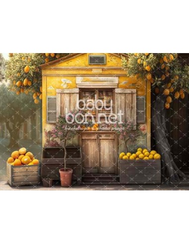 Loja rústica de citrinos (fundo fotográfico)
