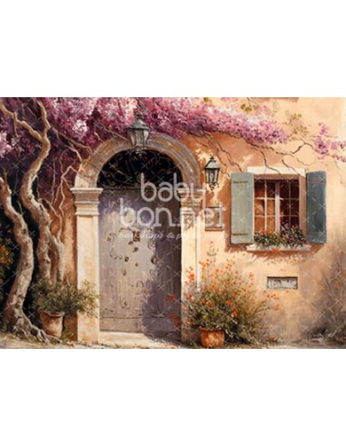 Provence (backdrop)