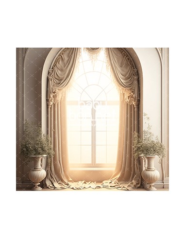 Fenêtre classique beige (fond de studio)