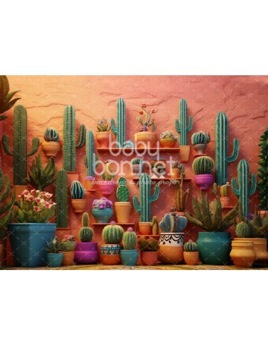 Cactus (fundo fotográfico)
