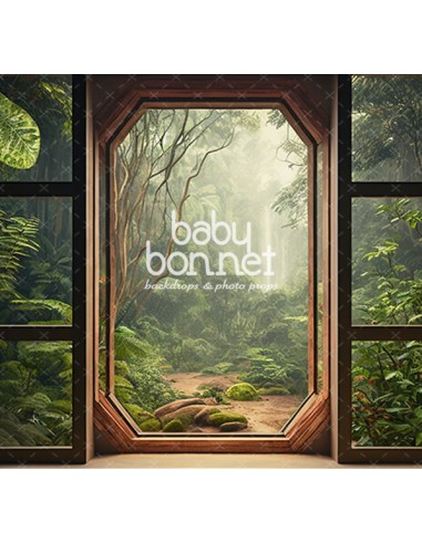 Window to the Amazon (backdrop)
