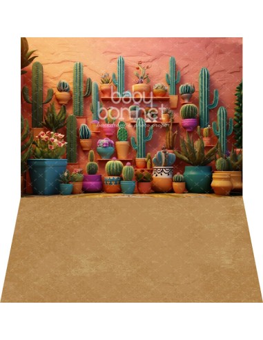 Cactus (fondo fotográfico - pared y suelo)