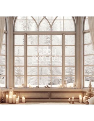 Interior con vistas a la nieve (fondo fotográfico)