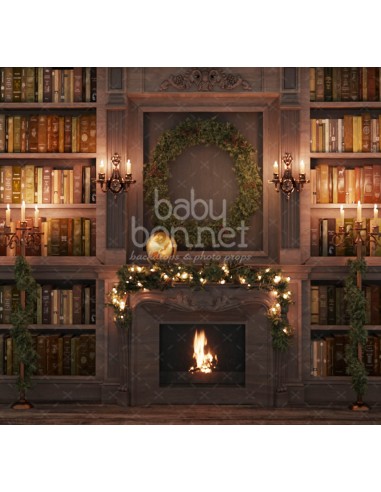 Library with garland (backdrop)