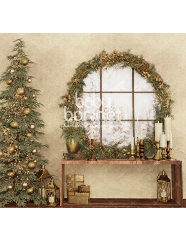 Window with Christmas wreath (backdrop)