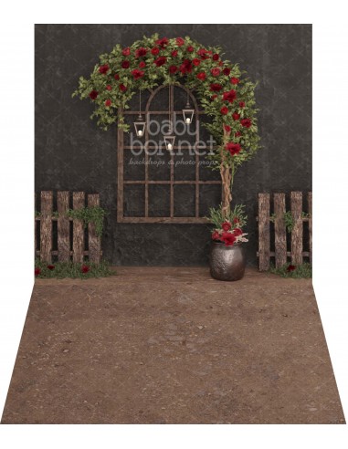Arco com flores de Natal (fundo fotográfico - parede e chão)