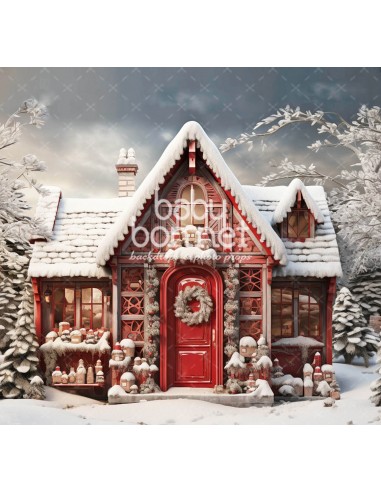 Petite maison rouge dans la neige (fond de studio)