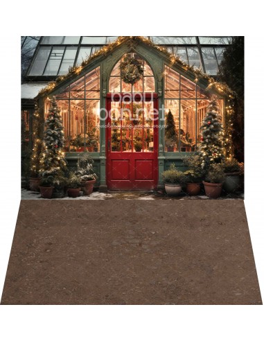 Christmas winter garden (backdrop - wall and floor)