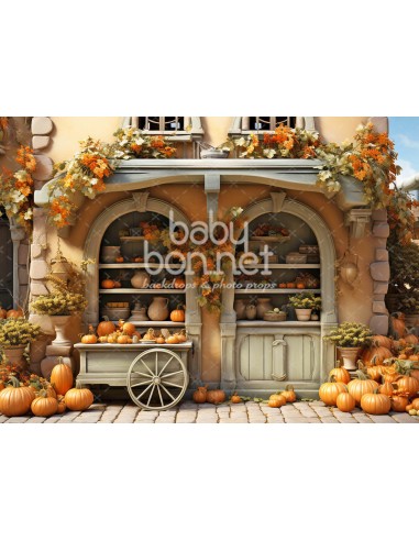 Store in the fall (backdrop)