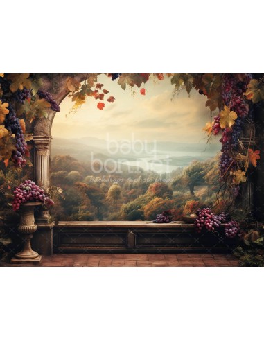 Renaissance (backdrop)