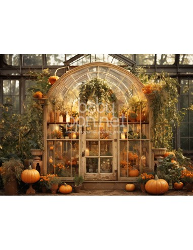 Autumn garden (backdrop)