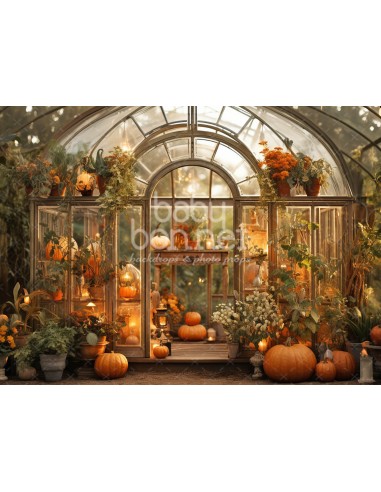 Pumpkin garden (backdrop)