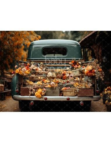 Pick-up com flores de outono (fundo fotográfico)