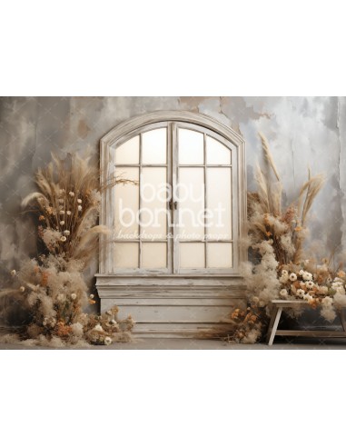 Fenêtre décorée de fleurs séchées (fond de studio)