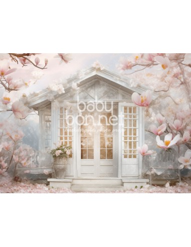 Pink magnolias (backdrop)