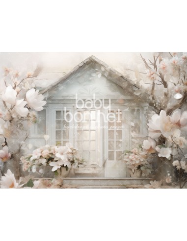 White magnolias (backdrop)
