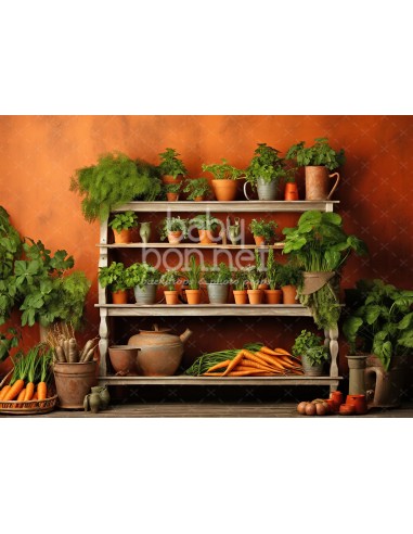Carrot shelves (backdrop)