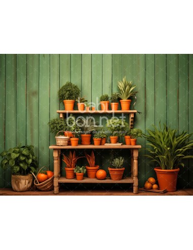 Shelf with fresh vegetables (backdrop)