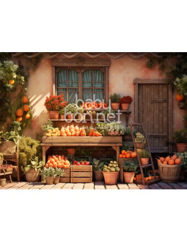 Vegetable stall (backdrop)