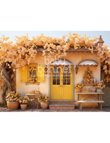 Little yellow house (backdrop)