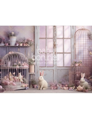 Cages vintage avec lapins (fond de studio)