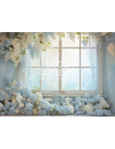 Fenêtre avec hortensias blancs et bleus (fond de studio)