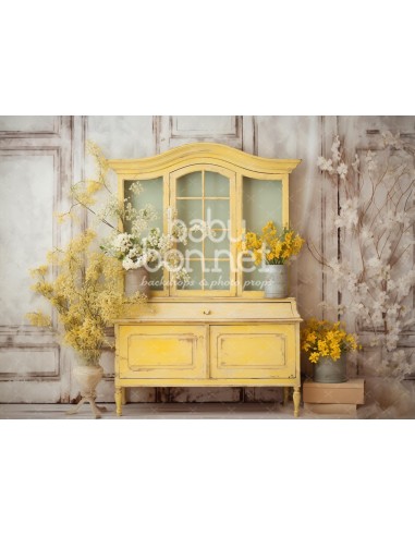 Armoire vintage jaune (fond de studio)