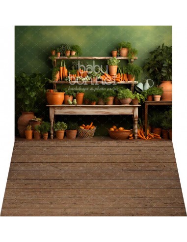 Fresh carrots (backdrop - wall and floor)
