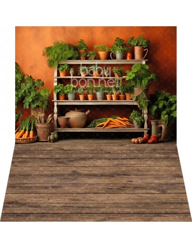 Estantes para zanahorias (fondo fotográfico - pared y suelo)