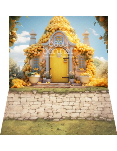 Lemon house (backdrop - wall and floor)