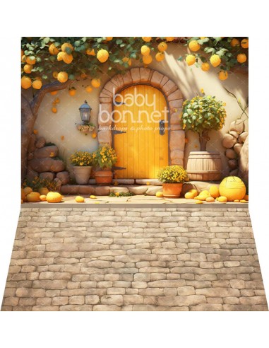 Lemon tree house (backdrop - wall and floor)