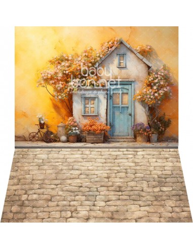 Flowered house facade (backdrop - wall and floor)