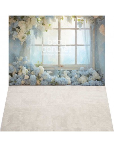 Fenêtre avec hortensias blancs et bleus (fond de studio - mur et sol)