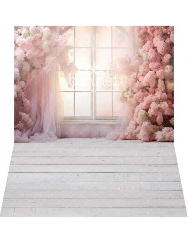 Luz y hortensias de color rosa (fondo fotográfico - pared y suelo)