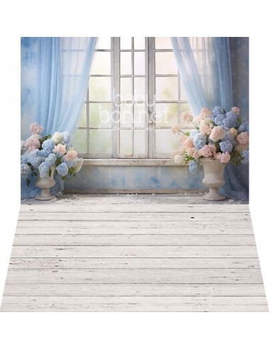 Light and blue hydrangeas (backdrop - wall and floor)