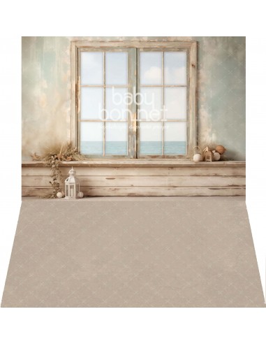 Picturesque window to the ocean (backdrop - wall and floor)