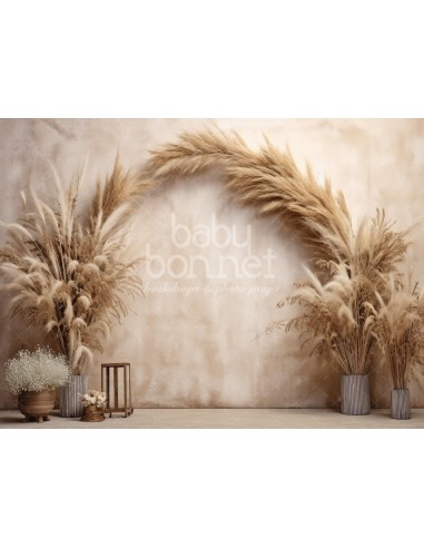 Pampas and dried flowers arch (backdrop)