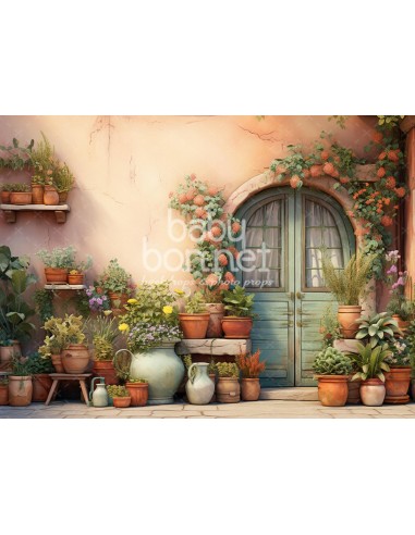 Flowerpots in the courtyard (backdrop)